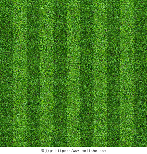 足球场上的特写足球和足球运动的绿草场背景。绿色草坪图案和纹理背景。特写镜头.
